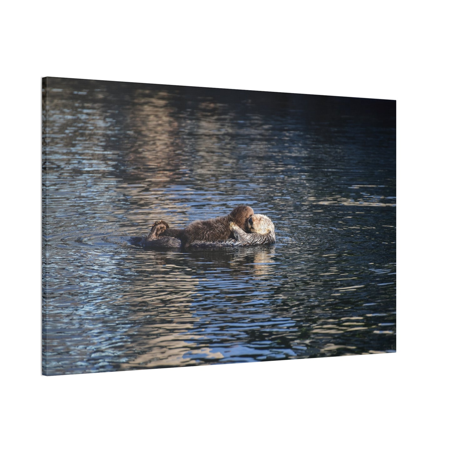 Held by the Tide – Sea Otter Mother & Pup, Morro Bay