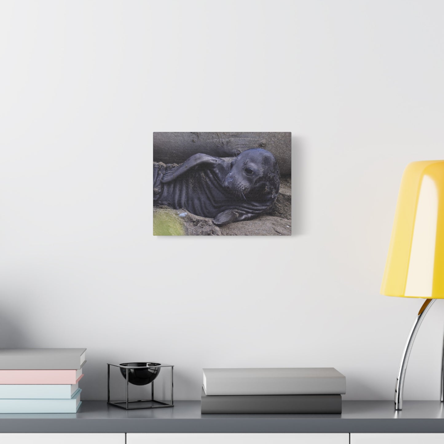 Baby Elephant Seal Canvas Print | Wall Art from Cayucos, California