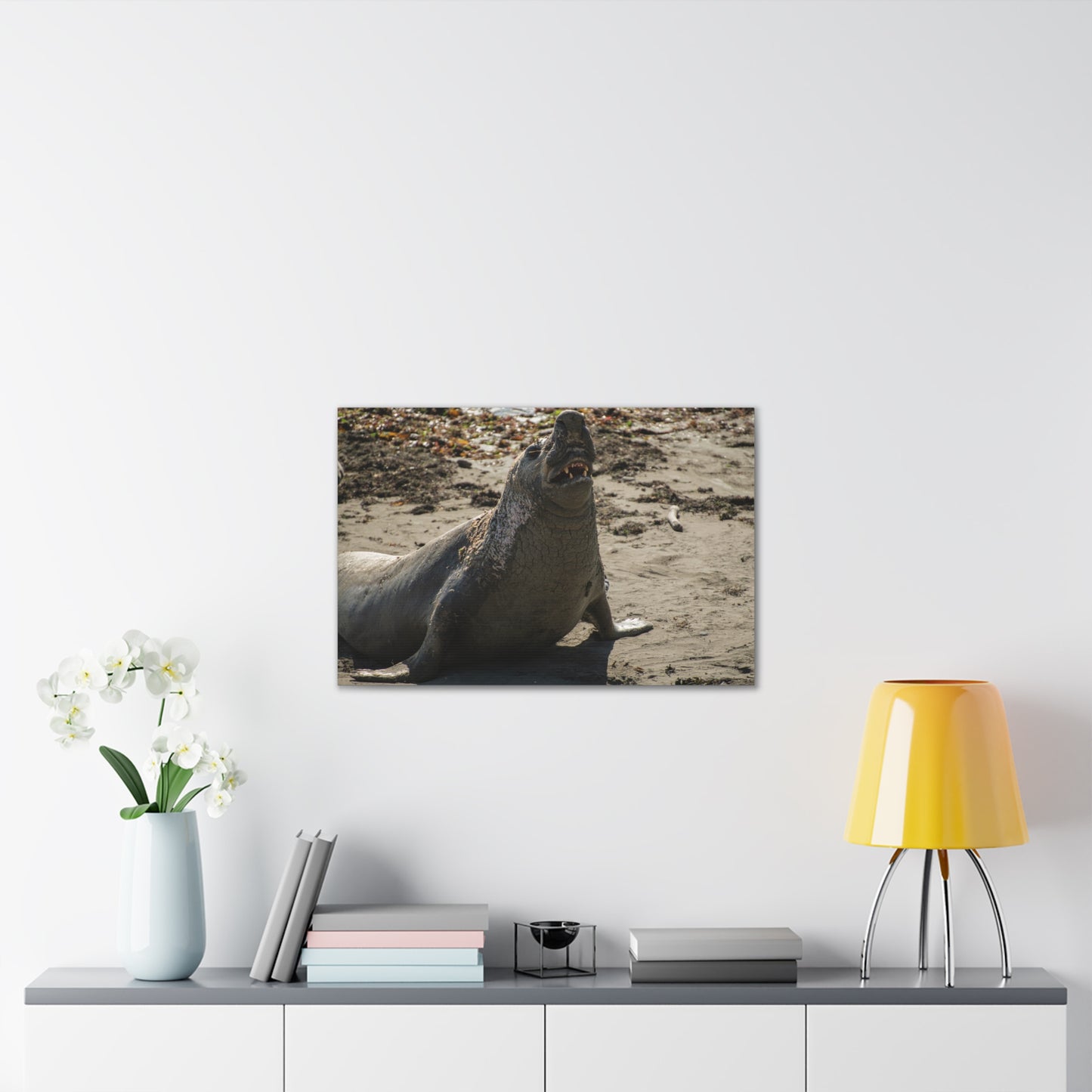 Brine-Crowned Bull – Elephant Seal, California Central Coast