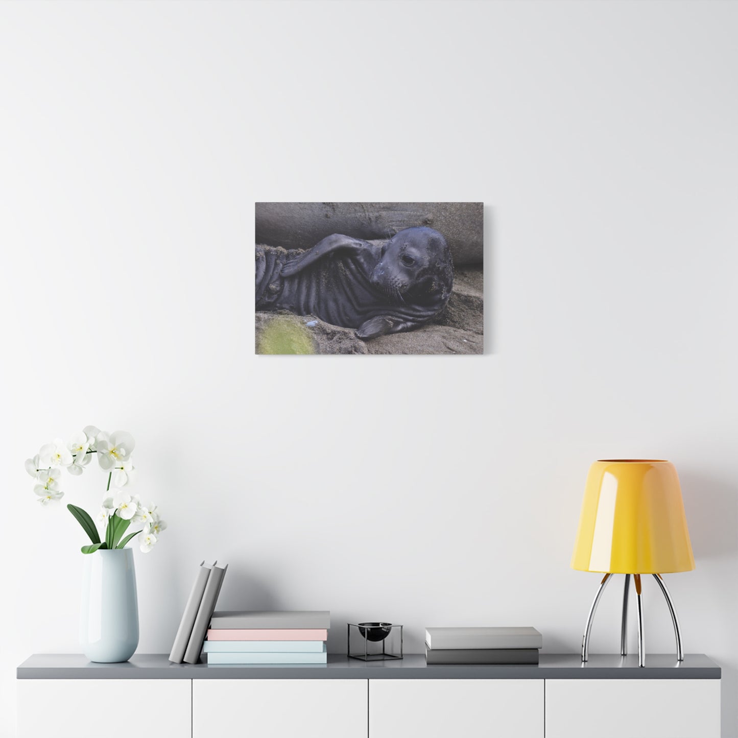 Baby Elephant Seal Canvas Print | Wall Art from Cayucos, California