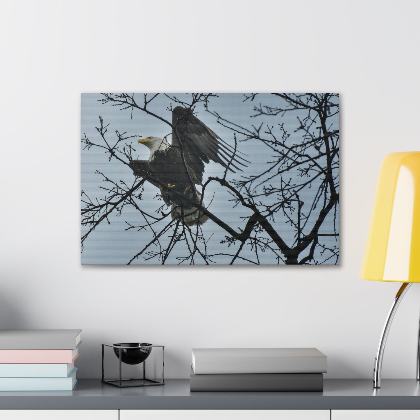 Bald Eagle in the Mist – St. Helena, Napa Valley