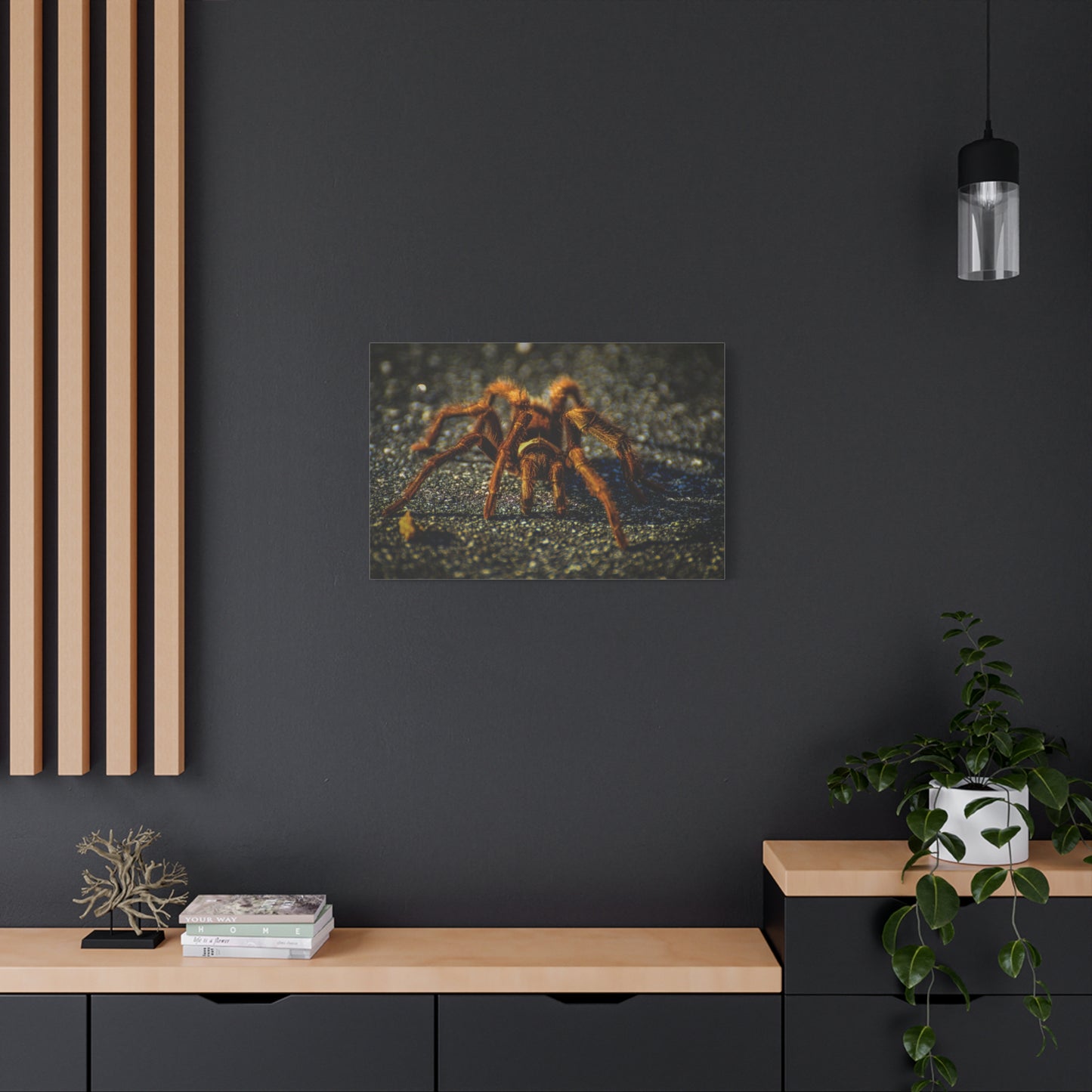 California Brown Tarantula Canvas Print | Wildlife Wall Art | Nature Photography