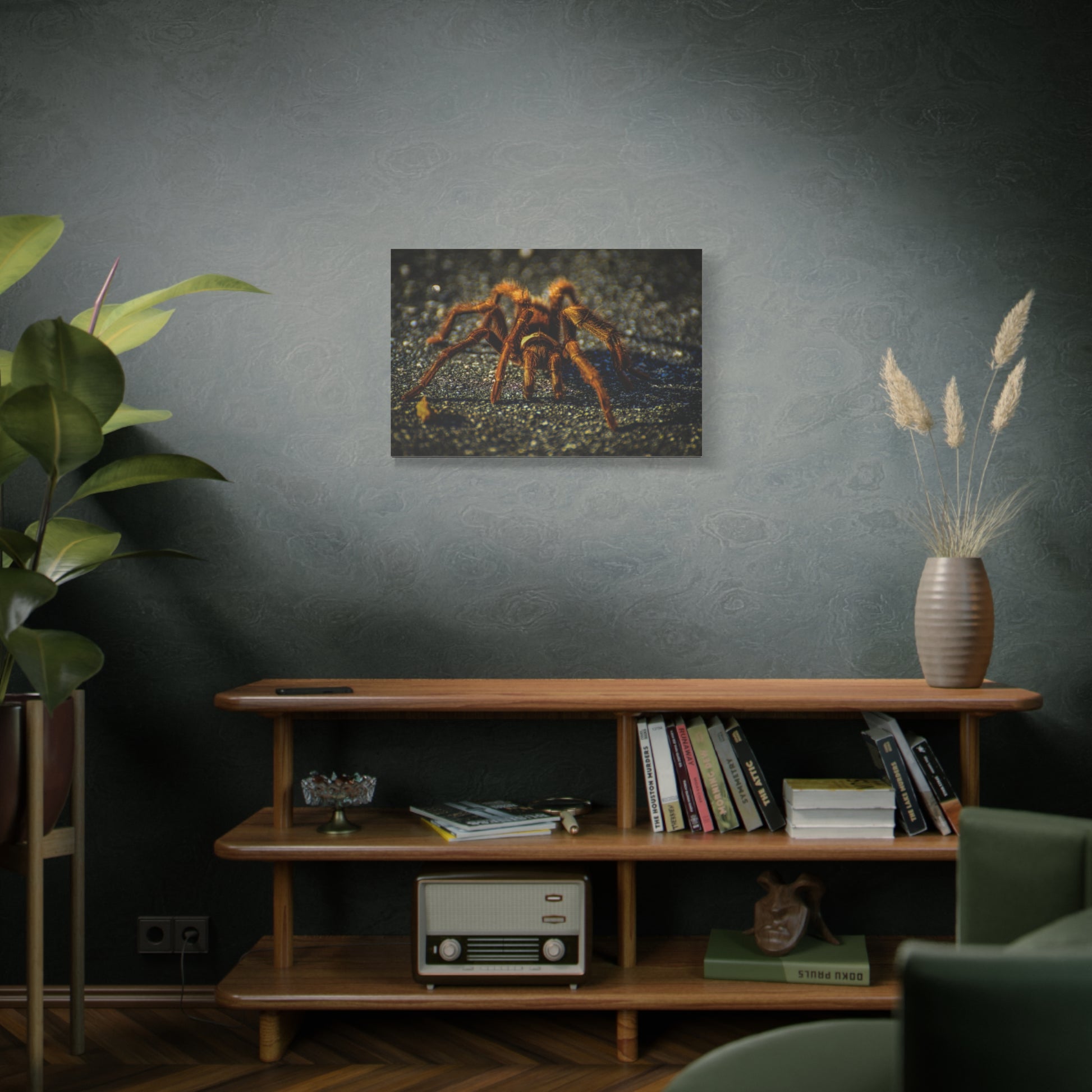 California brown tarantula canvas print, original wildlife photography by Keith Cutrone