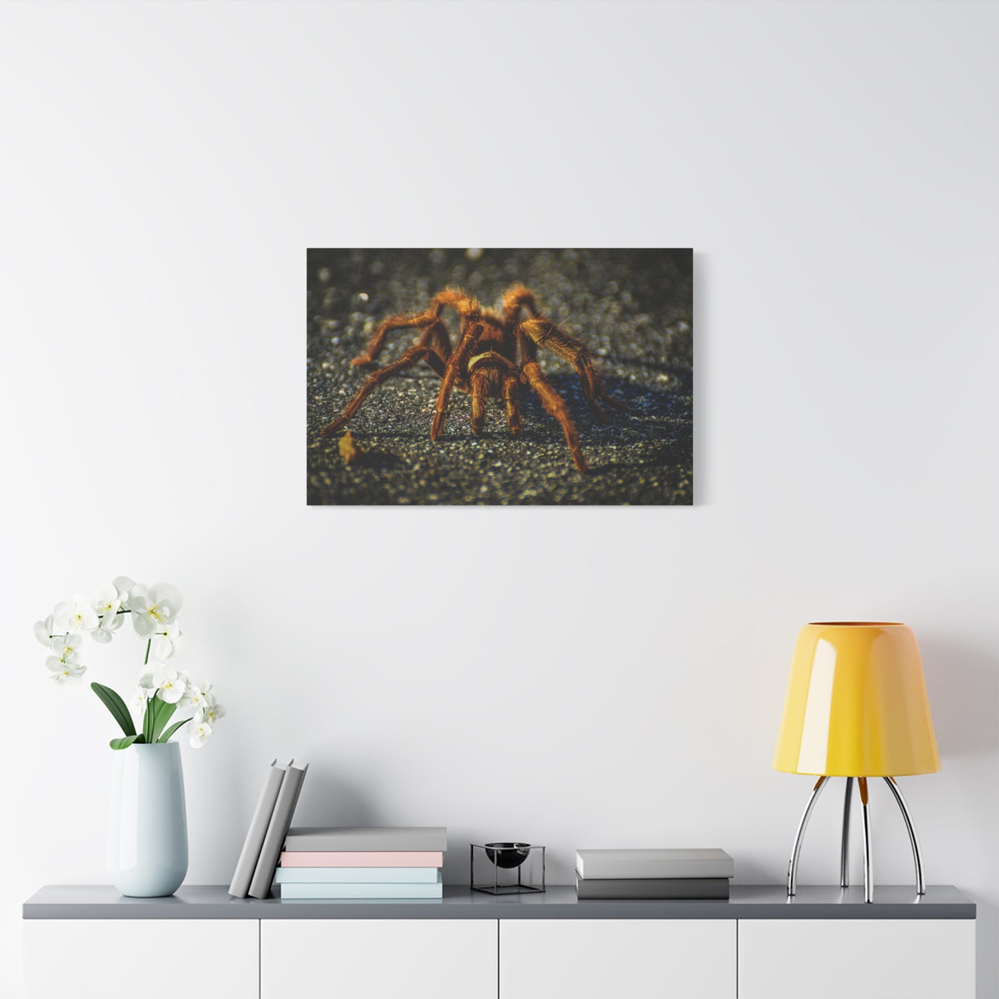 California Brown Tarantula Canvas Print | Wildlife Wall Art | Nature Photography