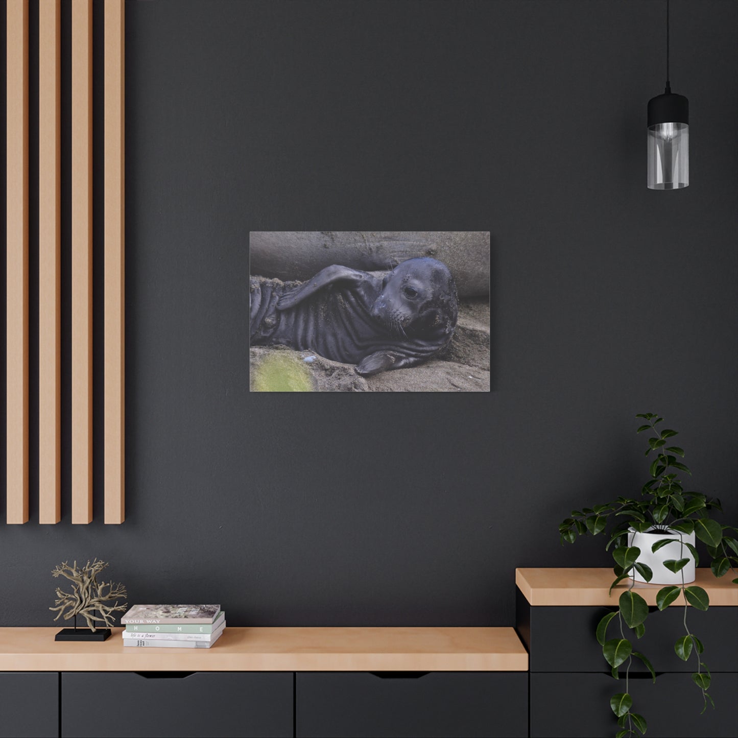 Baby Elephant Seal Canvas Print | Wall Art from Cayucos, California