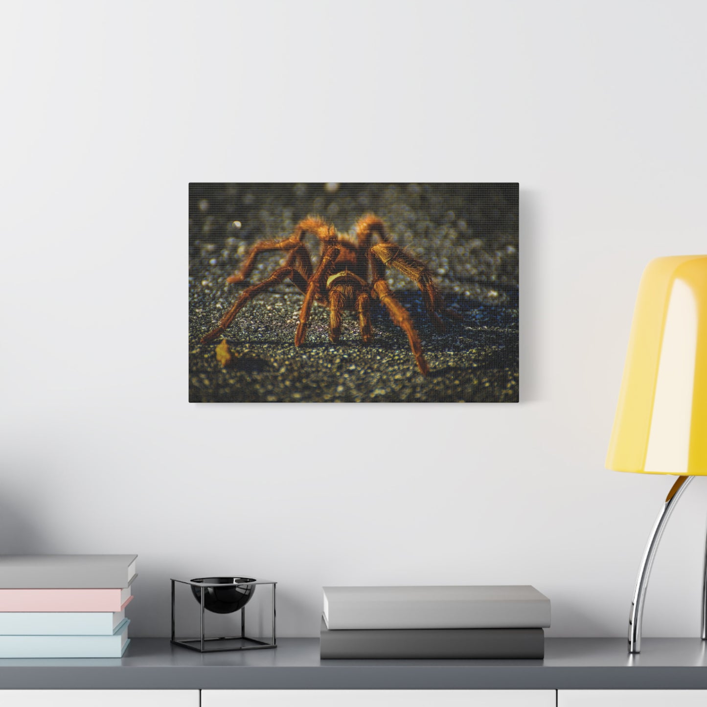 California Brown Tarantula Canvas Print | Wildlife Wall Art | Nature Photography