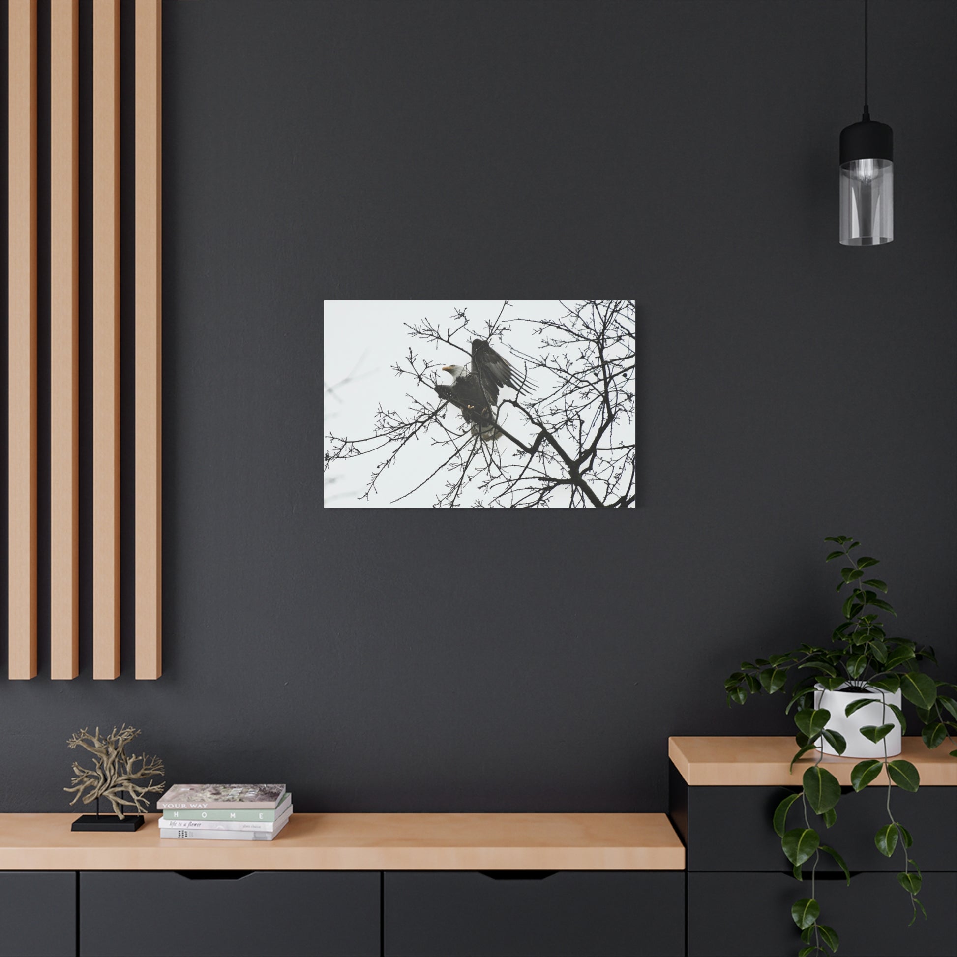 Bald eagle canvas print from Napa Valley, original wildlife photography by Keith Cutrone
