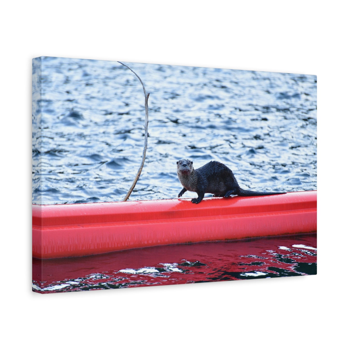 North American River Otter Canvas Print | Wildlife Wall Art | Nature Photography