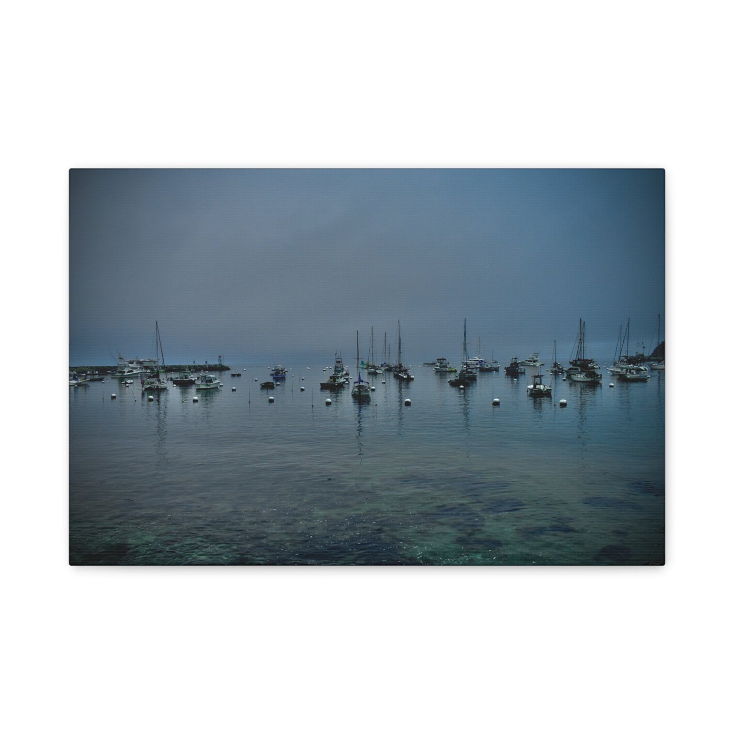 Catalina Island Harbor Canvas Print | Serene Coastal Photography Wall Art