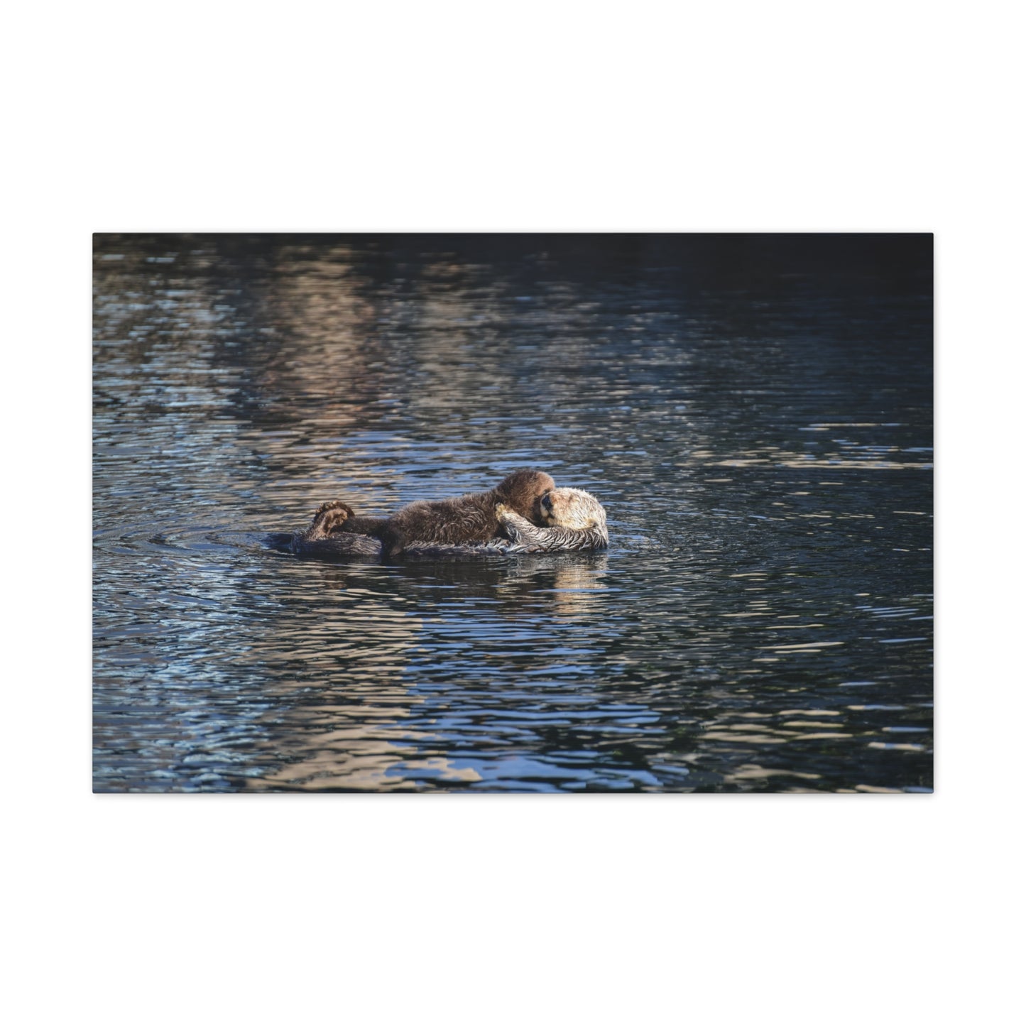 Held by the Tide – Sea Otter Mother & Pup, Morro Bay