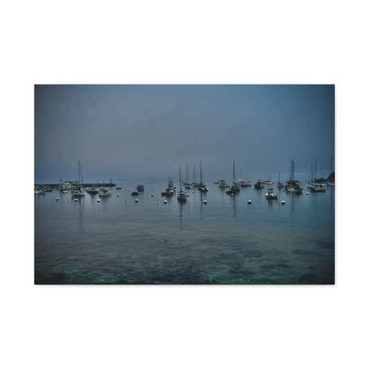 Catalina Island Harbor Canvas Print