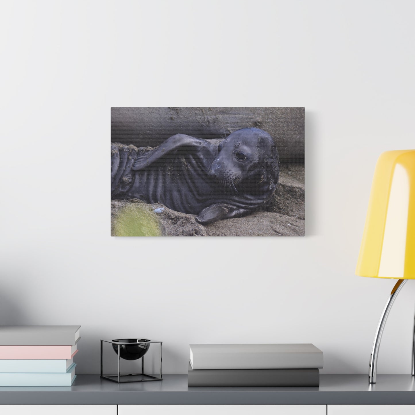 Baby Elephant Seal Canvas Print | Wall Art from Cayucos, California