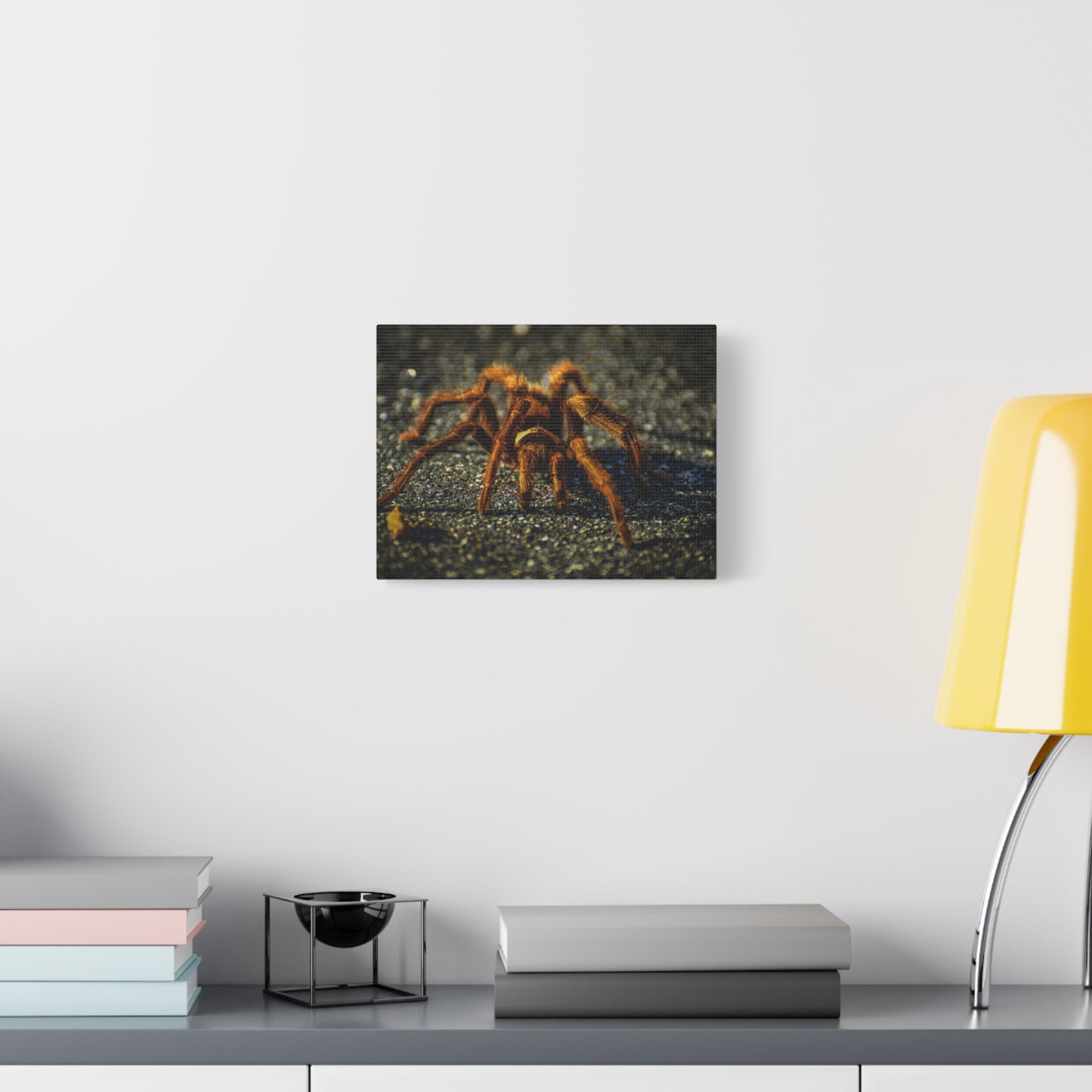 California Brown Tarantula Canvas Print | Wildlife Wall Art | Nature Photography