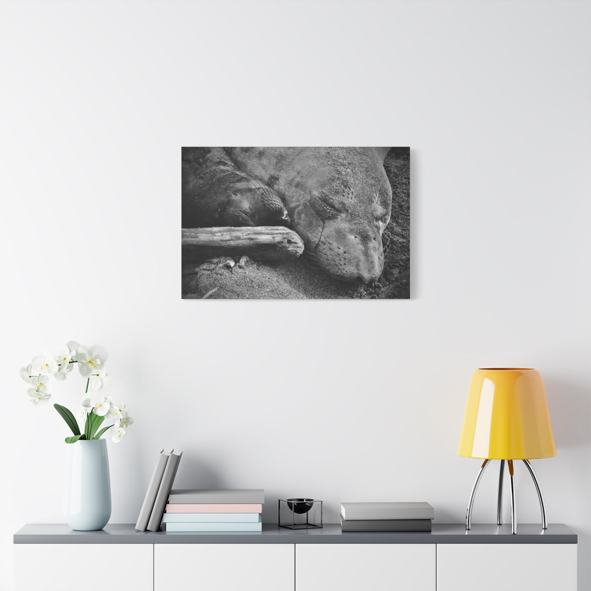Black and white elephant seal mother and pup canvas print, original wildlife photography by Keith Cutrone