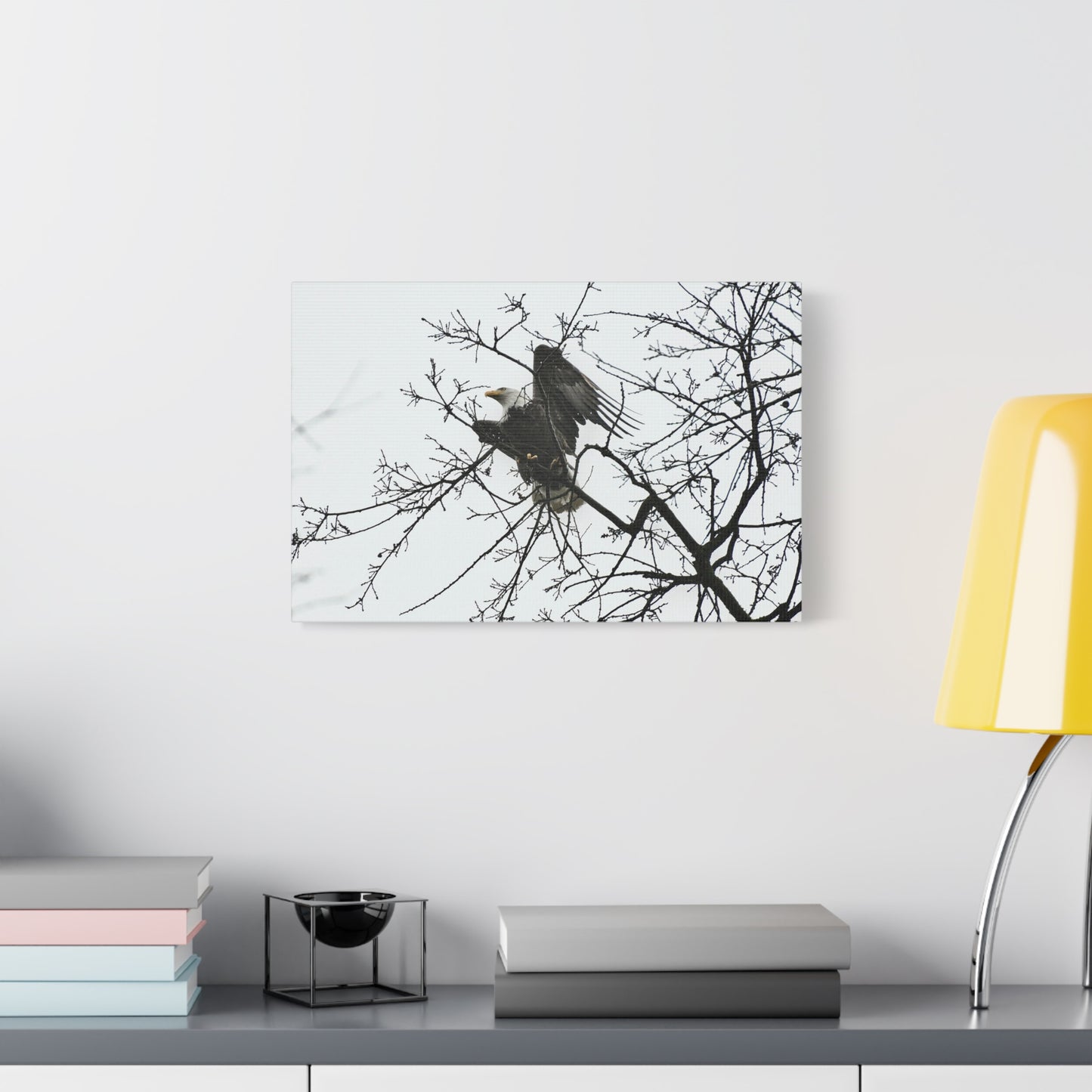 Bald Eagle Canvas Print | Napa Valley Vineyard Wildlife Photography Wall Art