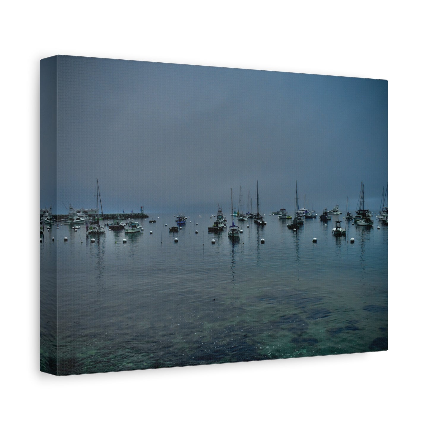 Catalina Island Harbor Canvas Print | Serene Coastal Photography Wall Art