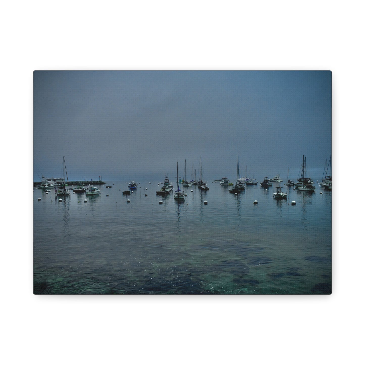 Catalina Island Harbor Canvas Print | Serene Coastal Photography Wall Art