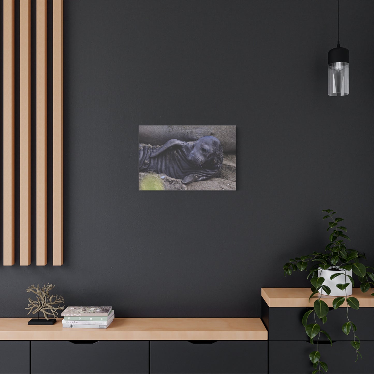 Baby Elephant Seal Canvas Print | Wall Art from Cayucos, California