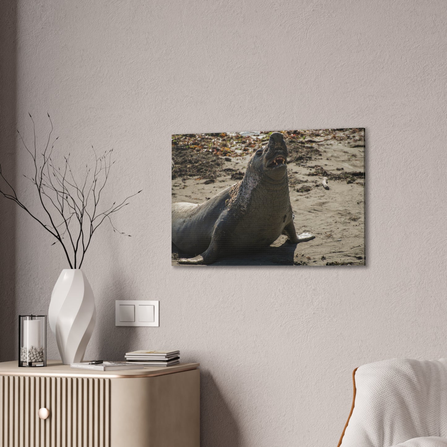Brine-Crowned Bull – Elephant Seal, California Central Coast