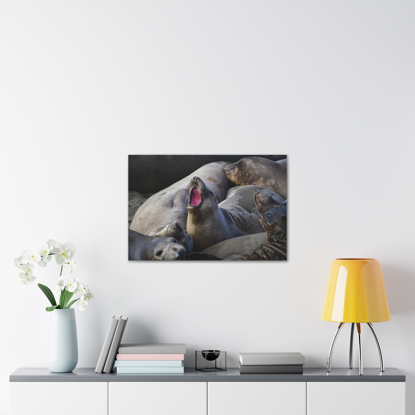 Fury in the Sands — Elephant Seals of California’s Central Coast
