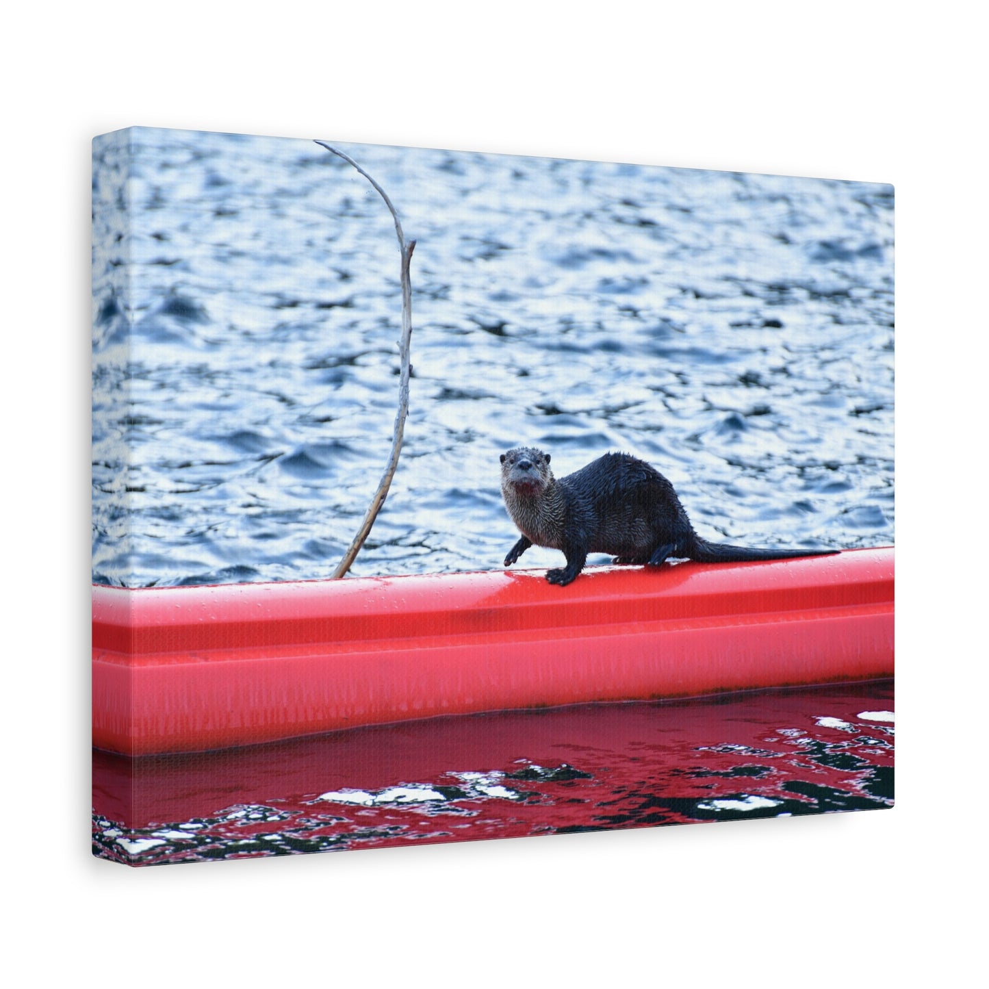 North American River Otter Canvas Print | Wildlife Wall Art | Nature Photography