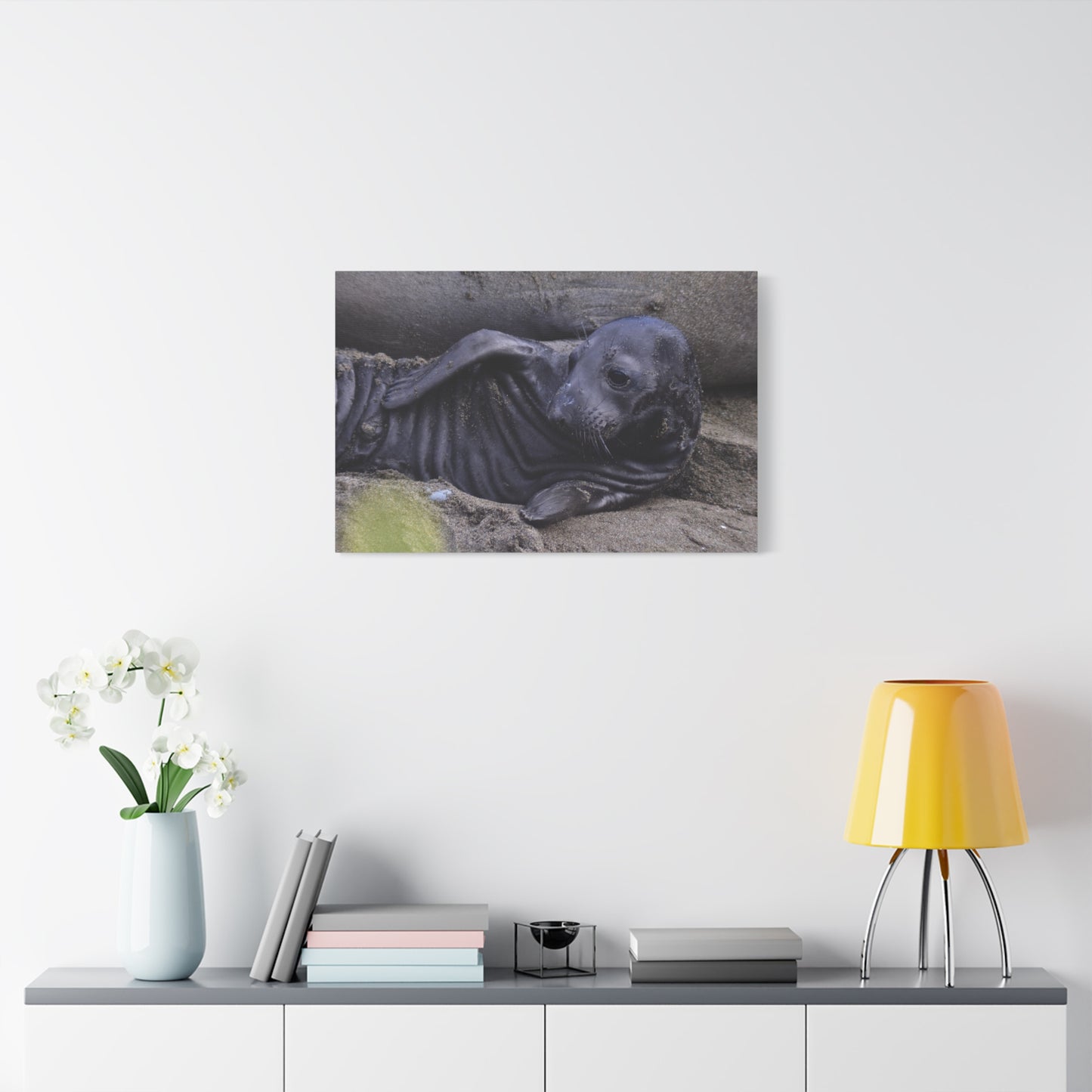 Baby Elephant Seal Canvas Print | Wall Art from Cayucos, California