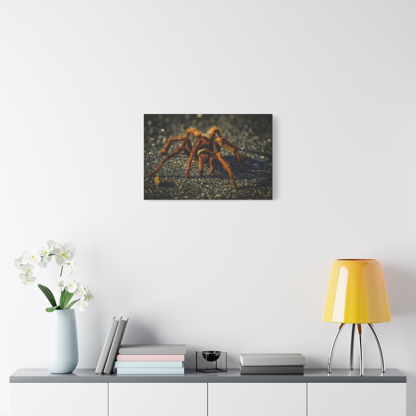 California Brown Tarantula Canvas Print | Wildlife Wall Art | Nature Photography