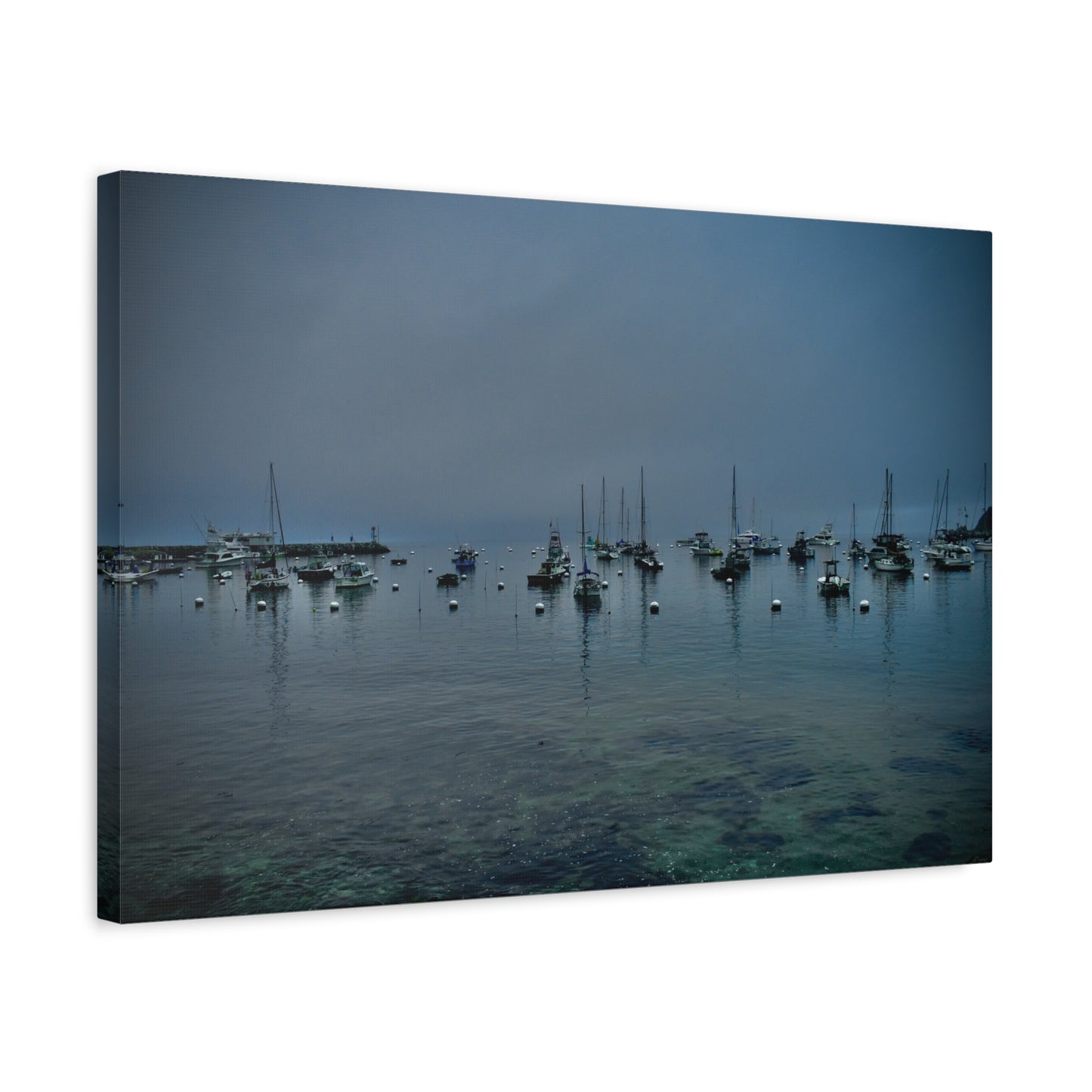 Catalina Island Harbor Canvas Print | Serene Coastal Photography Wall Art