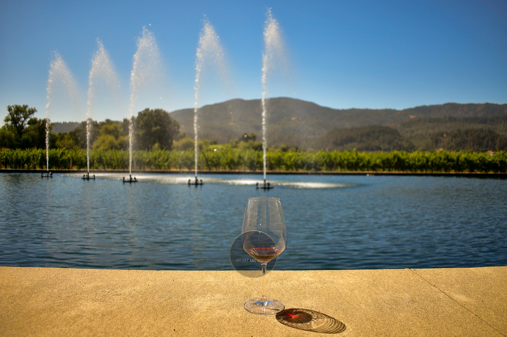 Wine and Water Reflections