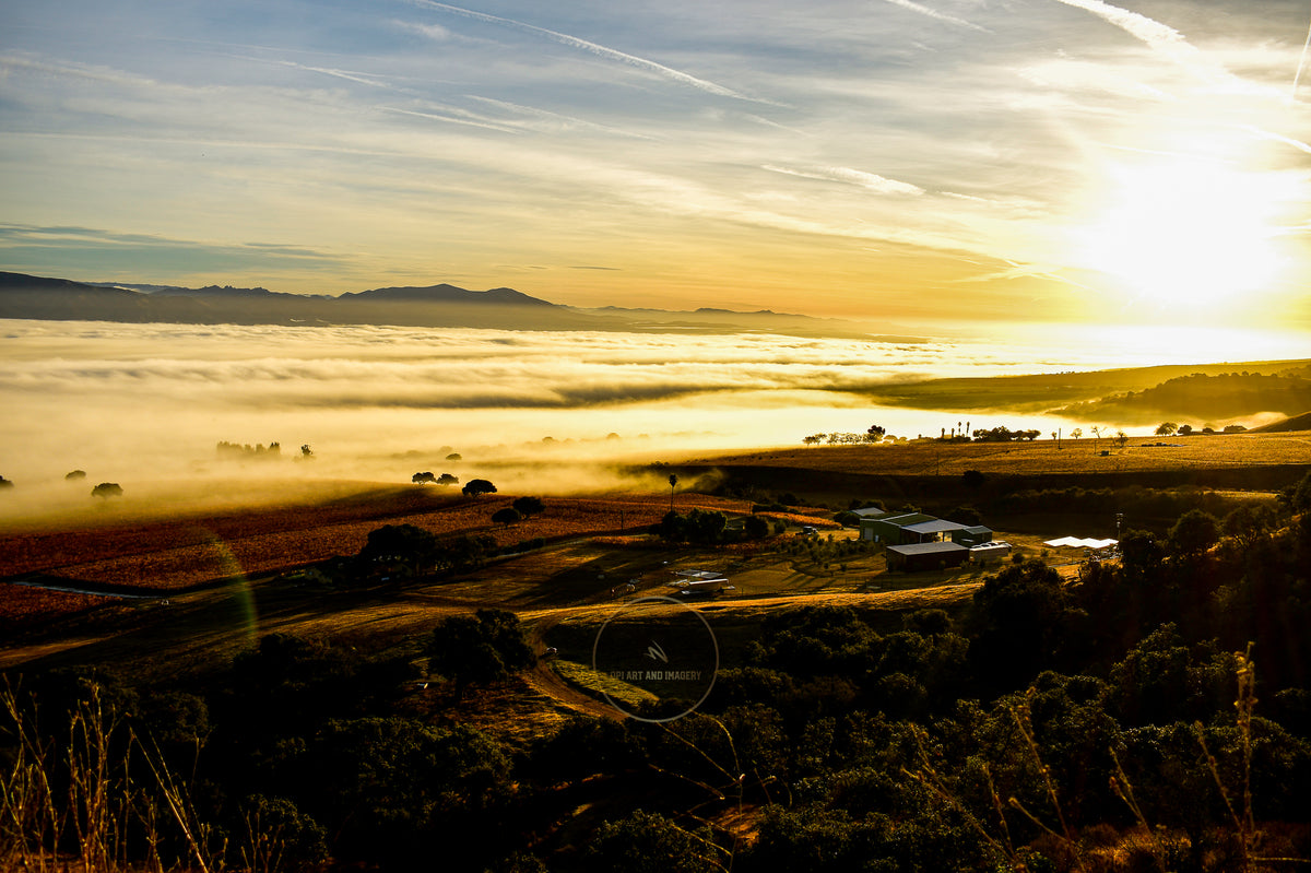 Ocean of Light, the mists of carmel valley